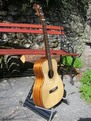 Tenor Guitar TG006