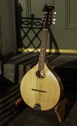 Mandolin MN004