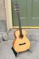 Tenor Guitar TG005