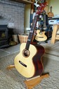 Tenor Guitar TG011