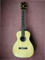 Tenor Guitar TG001